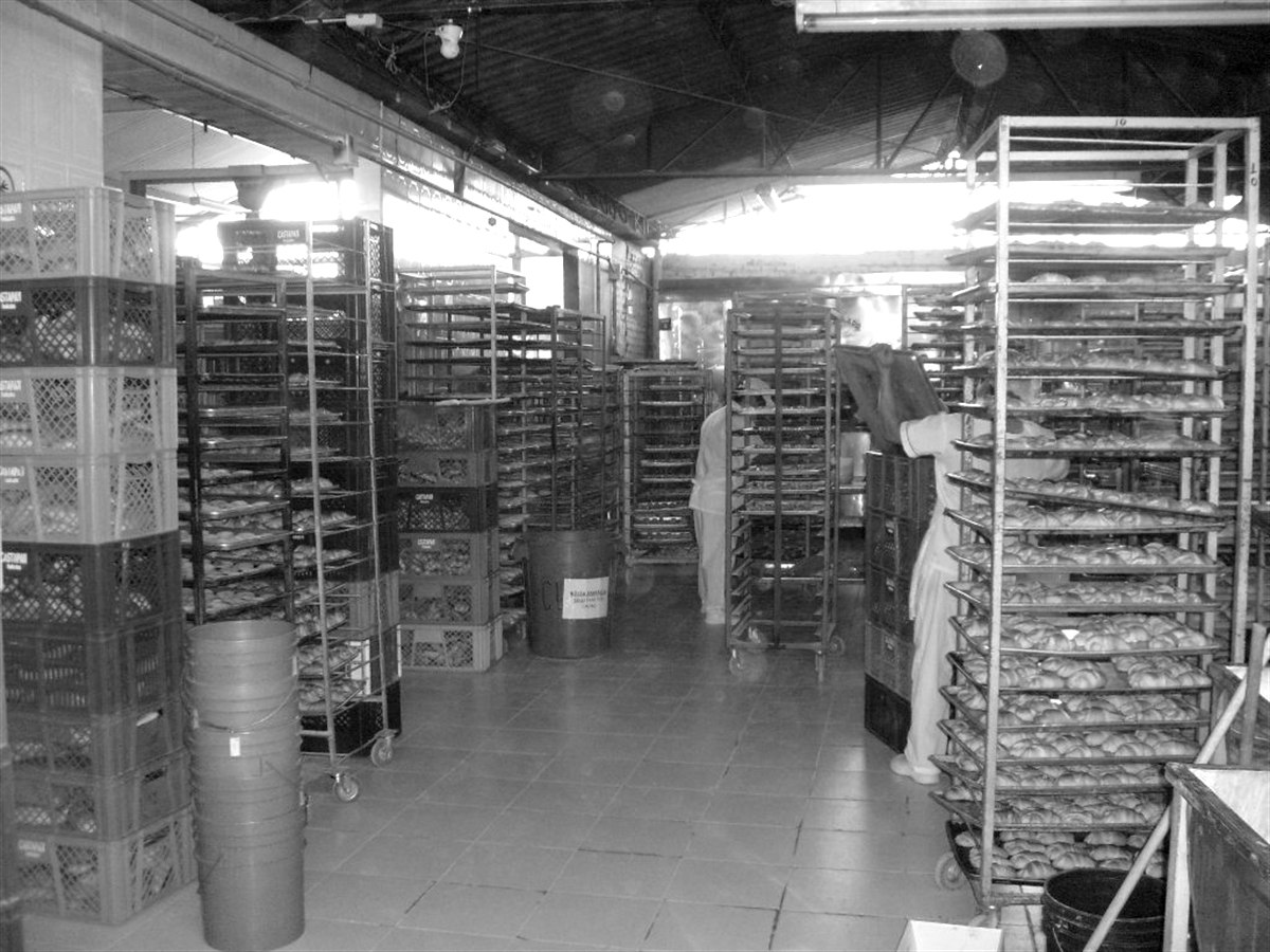 Segunda planta de Castapan, ampliación en la casa contigua, año 2011